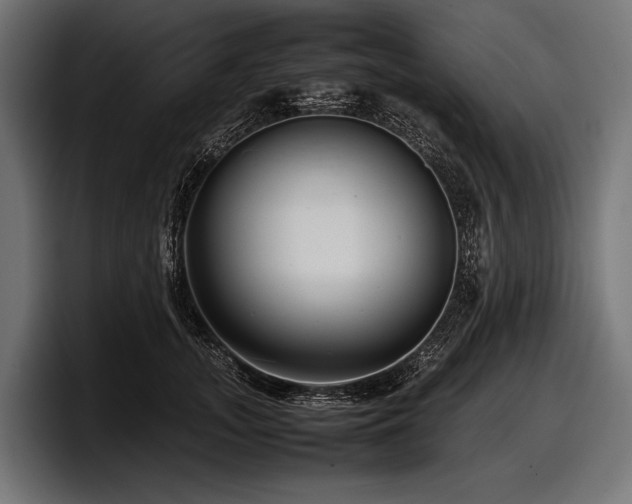 X0000097960755200803241213