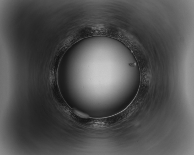 X0000097960756200803241214
