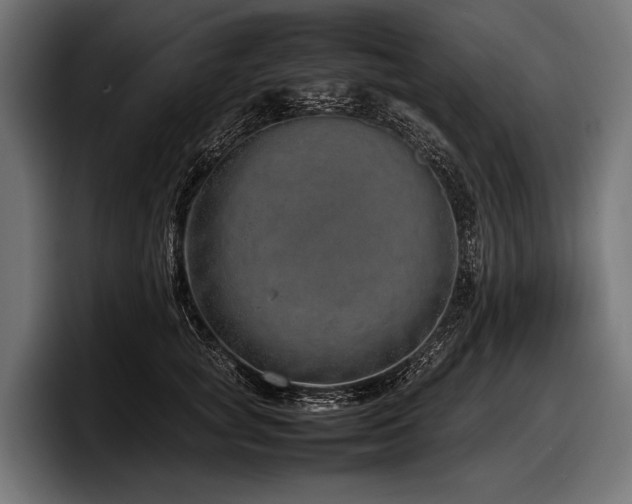 X0000097960757200803241214