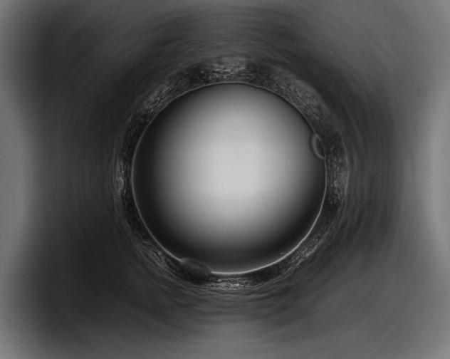 X0000097960758200803241214