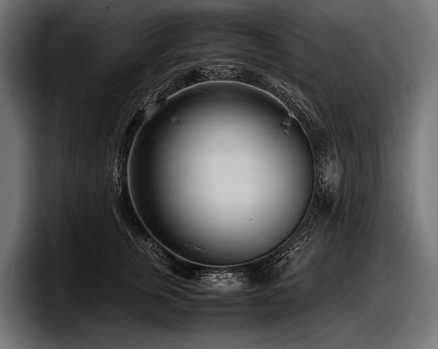 X0000097960759200803241214