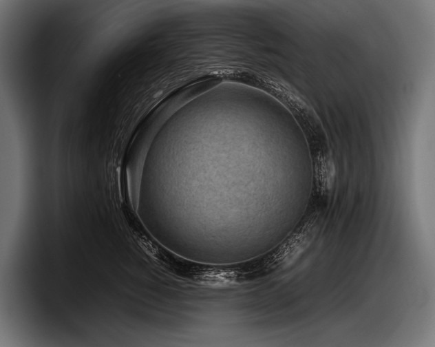 X0000097960760200803241214