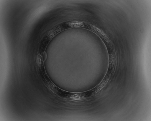 X0000097960761200803241214