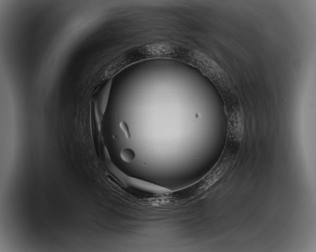 X0000097960762200803241214