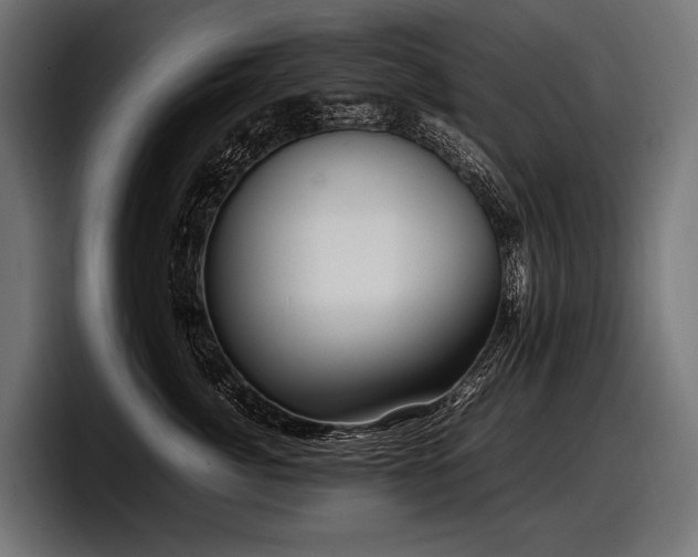 X0000097960764200803241214