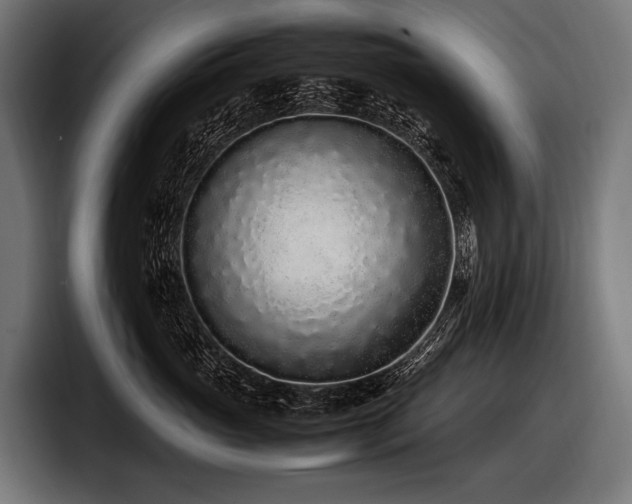 X0000097960765200803241214