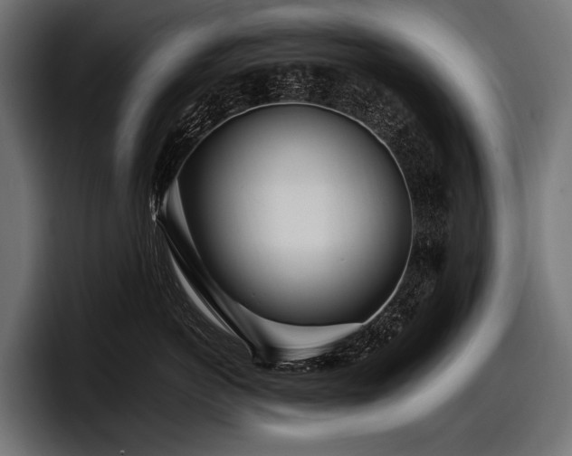 X0000097960766200803241214