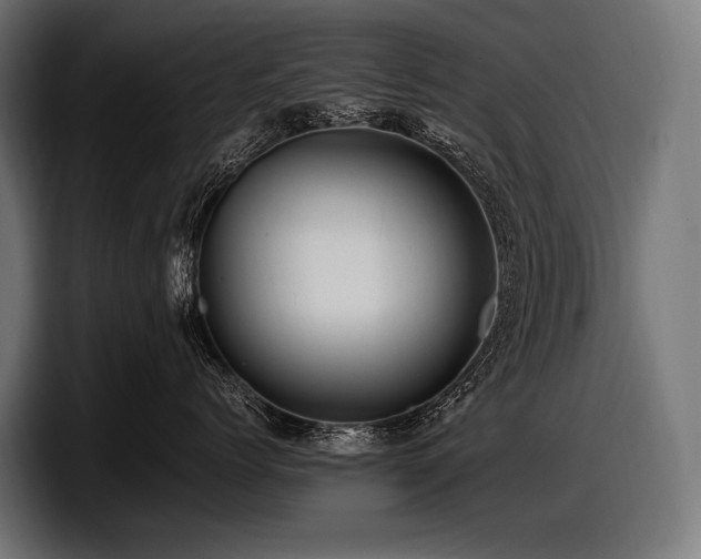 X0000097960768200803241214