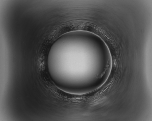 X0000097960771200803241213