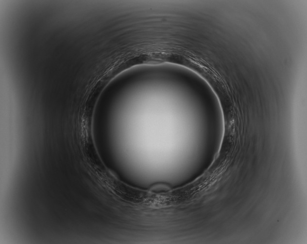 X0000097960772200803241213