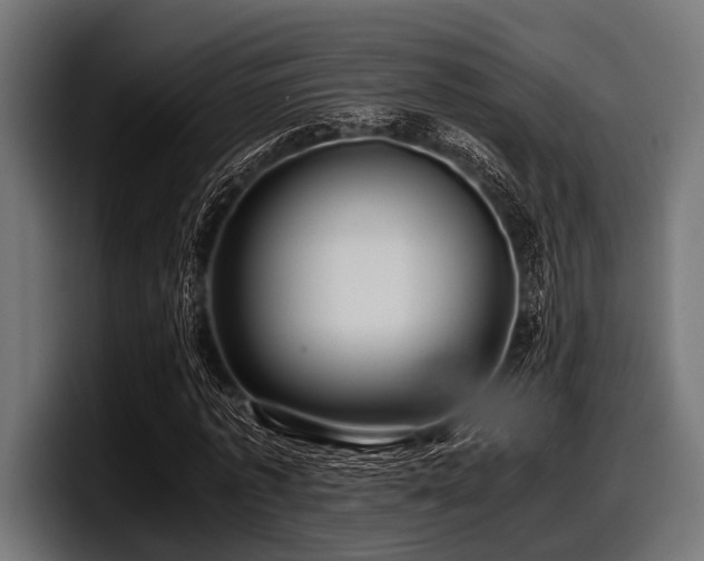 X0000097960773200803241213