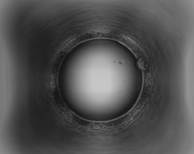 X0000097960774200803241213
