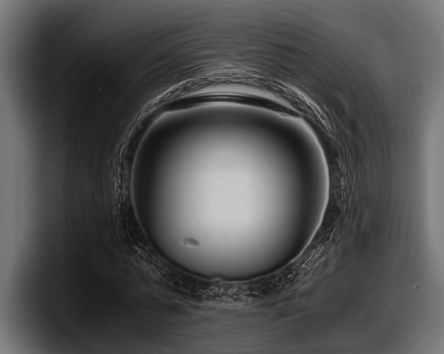 X0000097960775200803241213