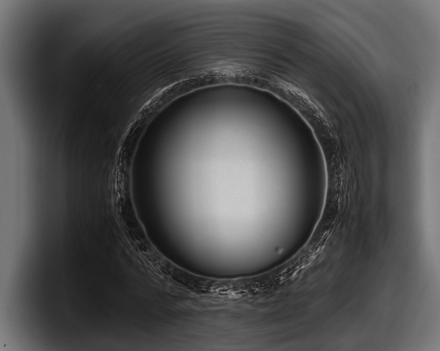 X0000097960776200803241213
