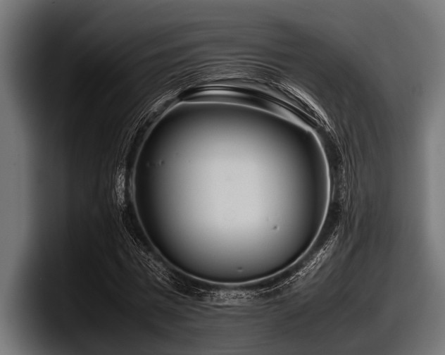 X0000097960777200803241213