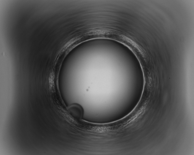X0000097960778200803241213