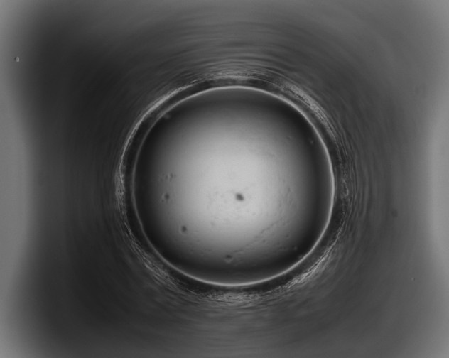 X0000097960779200803241213