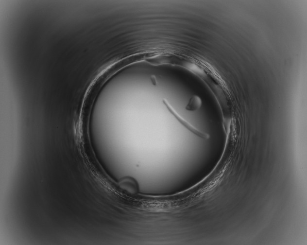 X0000097960780200803241213