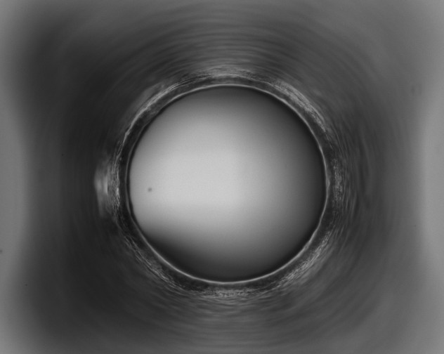 X0000097960782200803241213