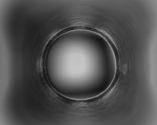 X0000097960783200803241213