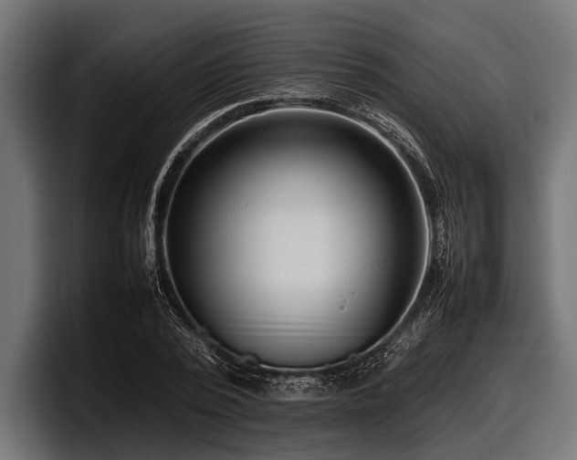 X0000097960784200803241213