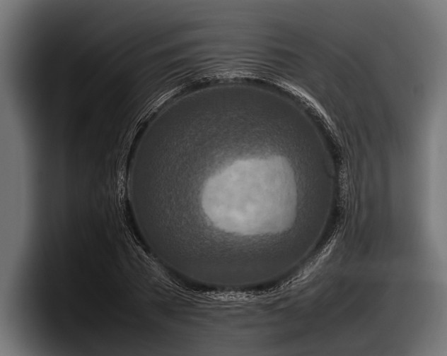 X0000097960785200803241213