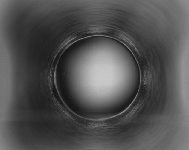 X0000097960786200803241213