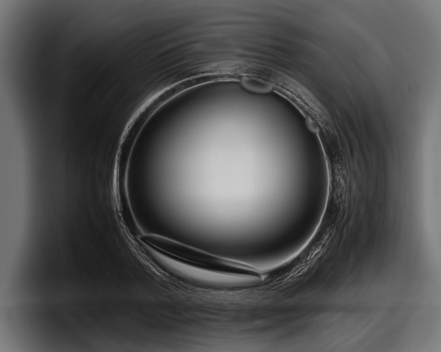 X0000097960788200803241213