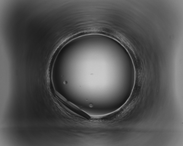 X0000097960789200803241213