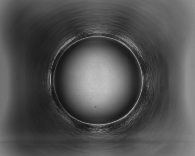 X0000097960790200803241213