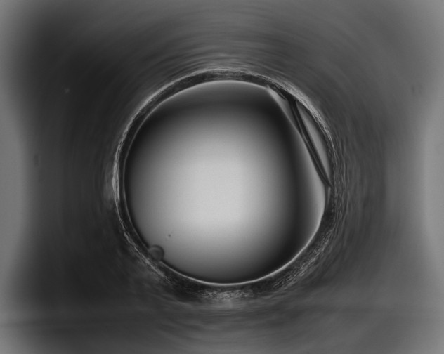 X0000097960791200803241213