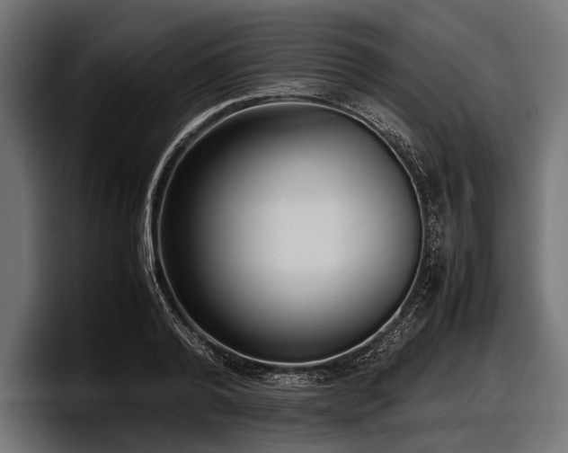 X0000097960792200803241213