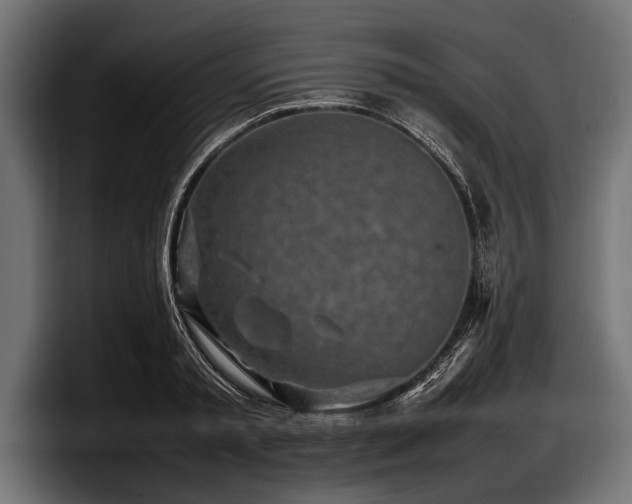 X0000097960797200803241213