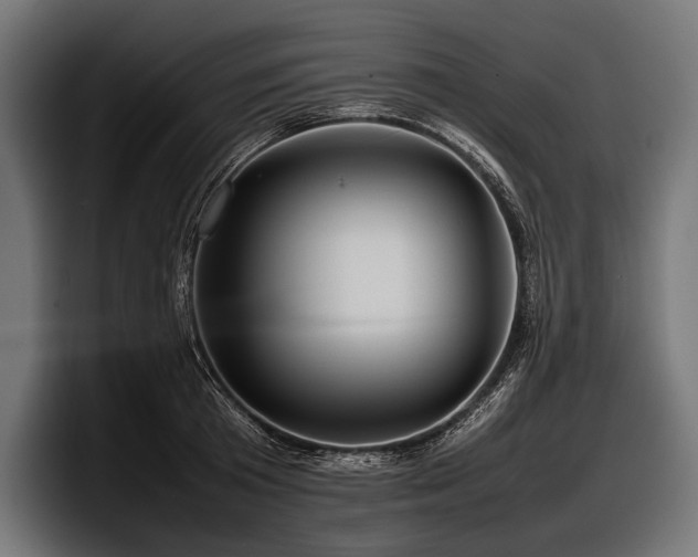 X0000097960801200803241213