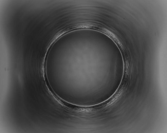 X0000097960802200803241213