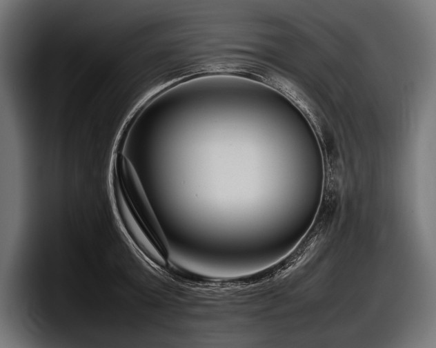 X0000097960803200803241213