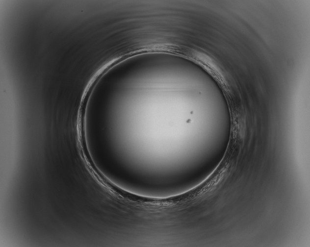 X0000097960804200803241213