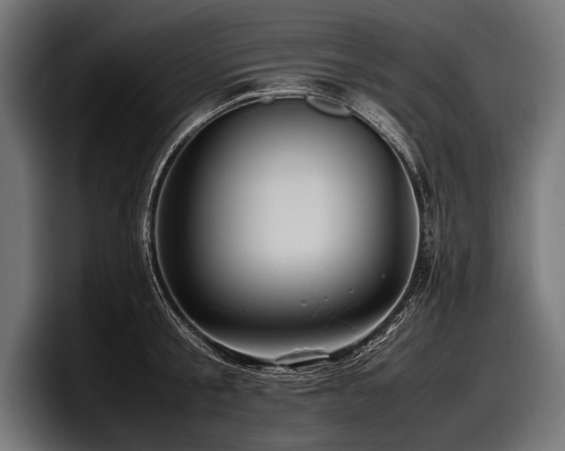 X0000097960805200803241213