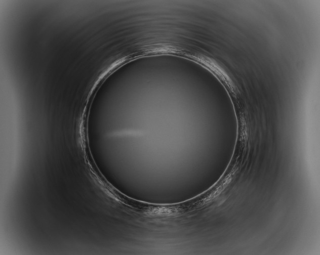 X0000097960806200803241213