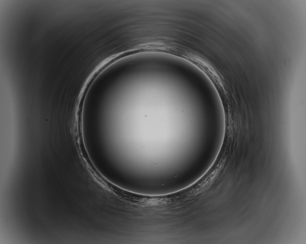 X0000097960808200803241213