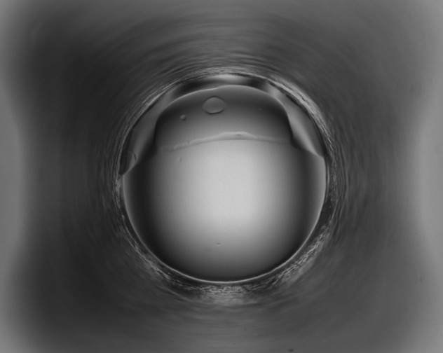 X0000097960809200803241213