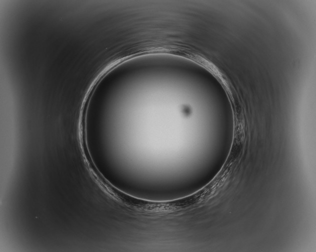 X0000097960811200803241212