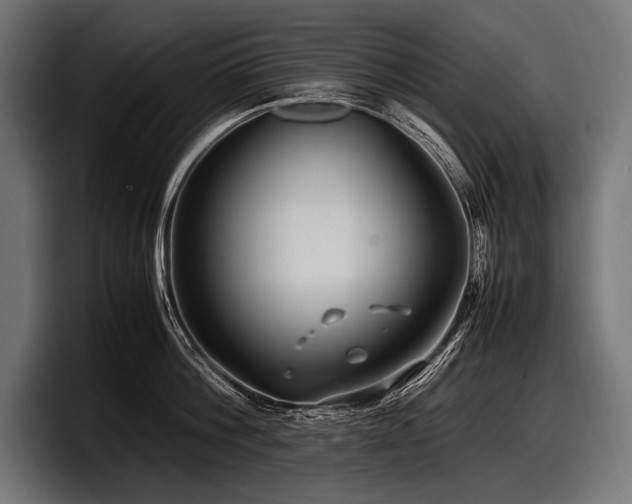 X0000097960812200803241212