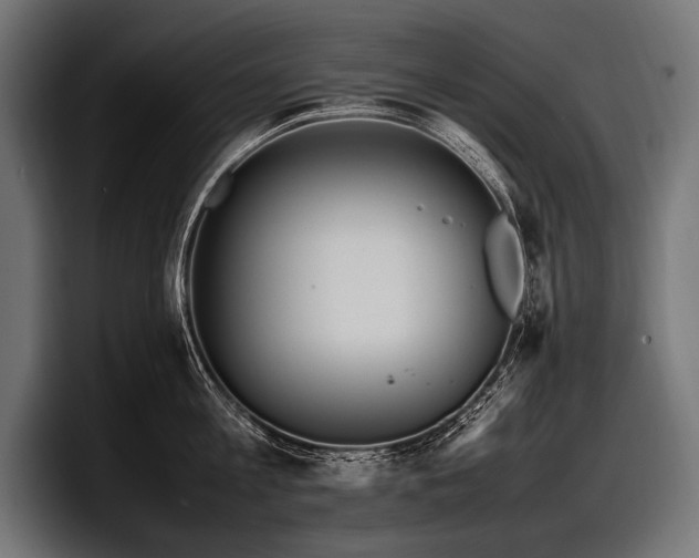 X0000097960813200803241212