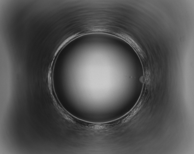 X0000097960814200803241212