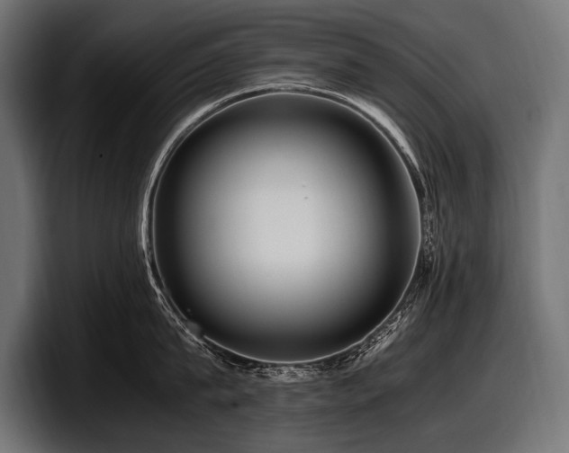 X0000097960815200803241212