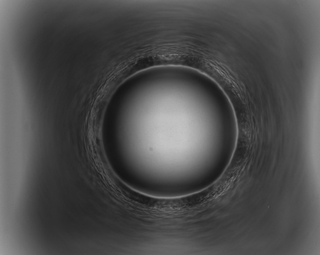 X0000097960817200803241212