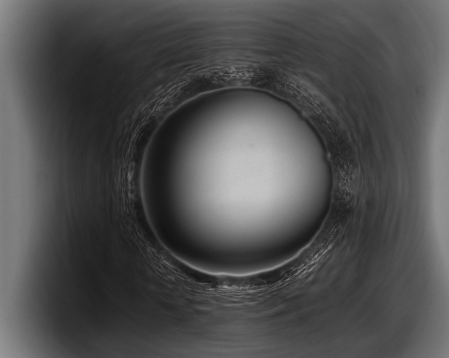 X0000097960818200803241212