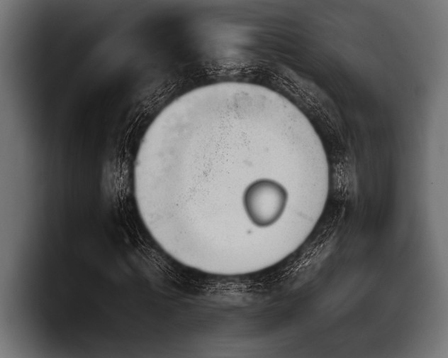 X0000097960820200803241212