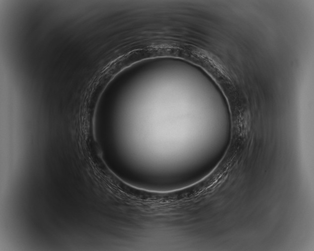 X0000097960821200803241212